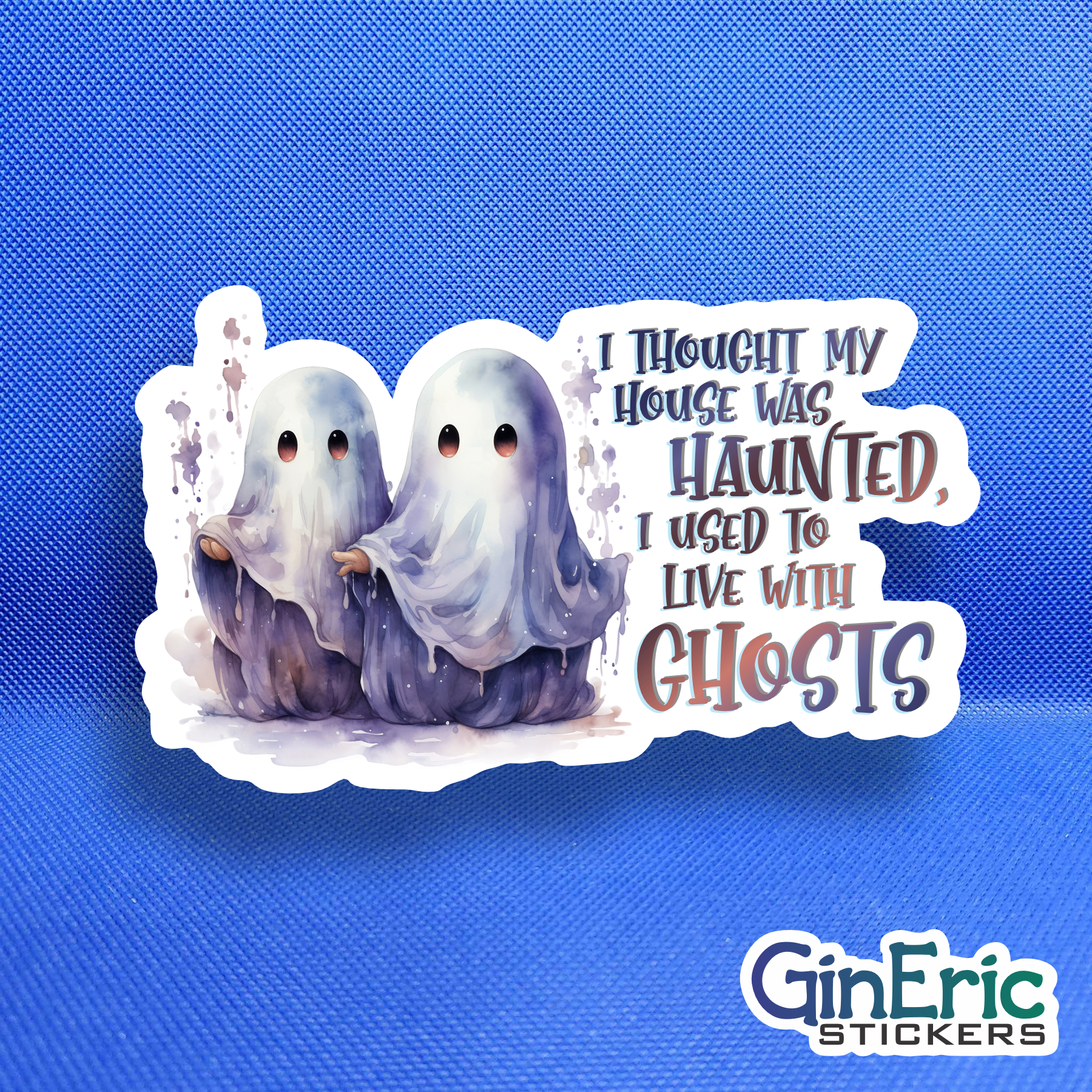 I thought my house was haunted, I used to live with Ghosts Weatherproof Sticker Taylor Swift