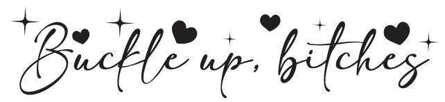 Buckle Up, Bitches Vinyl Decal #4