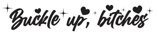 Buckle Up, Bitches Vinyl Decal #3