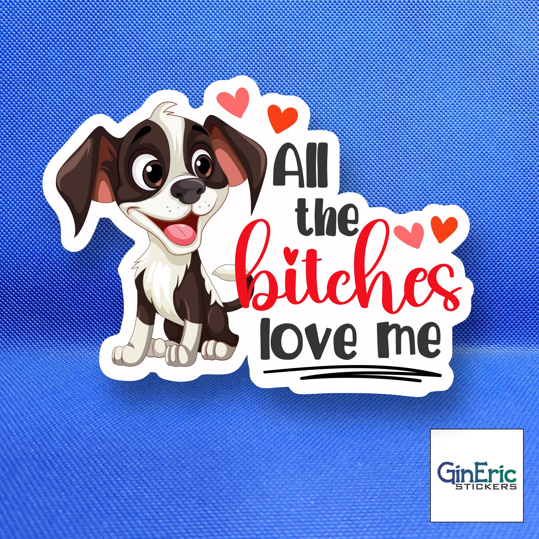All the b*tches love me Weatherproof Sticker